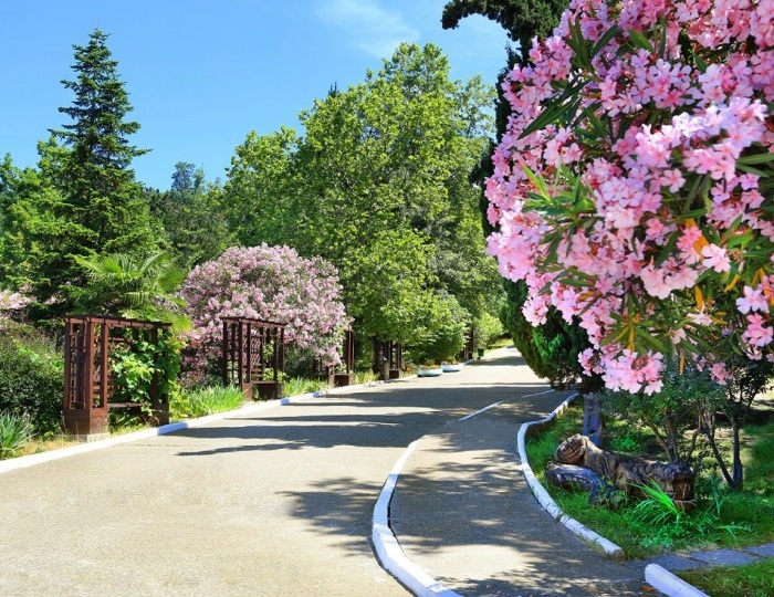 Внешний вид и территория - Санаторий «Магадан»