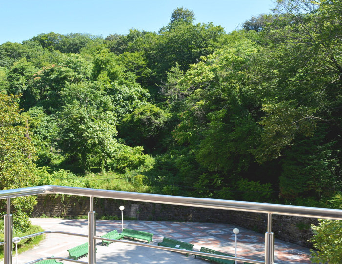 Стандарт 1-местный - Санаторий «Магадан»